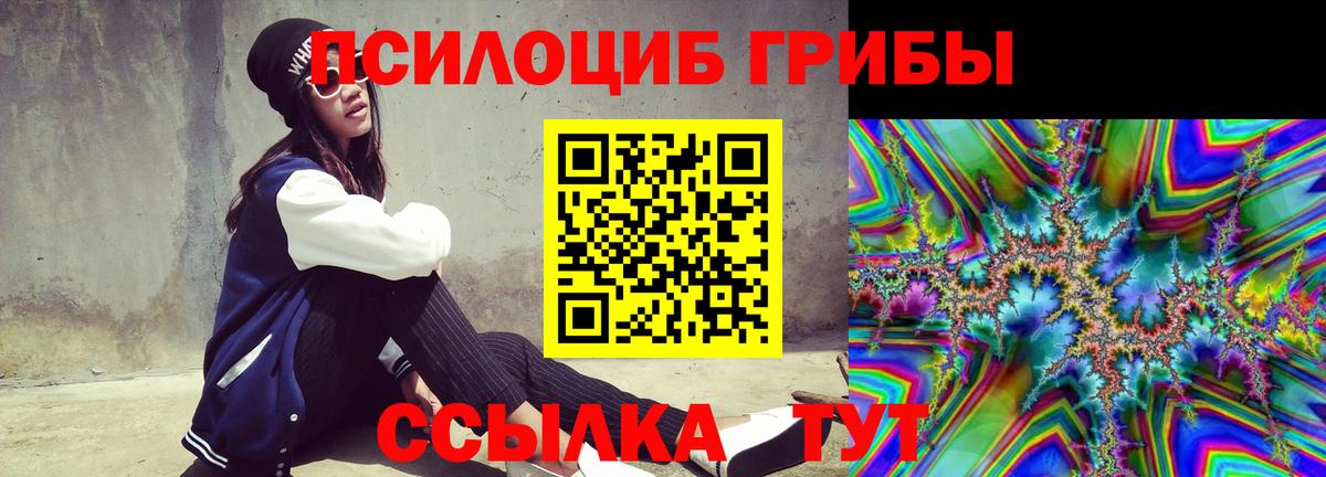 Галлюциногенные грибы Magic Shrooms  Псилоцибиновые грибы прущие грибы  Александров  Вход с VPN 